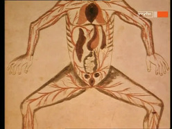 Die Nervenzelle - Santiago Ramón y Cajal