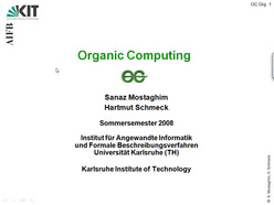 Vorlesung "Organic Computing" der Fakultät für Wirtschaftswissenschaften im Sommersemester 2008, gehalten am 14.04.2008