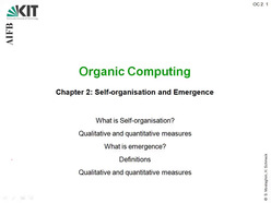Vorlesung "Organic Computing" der Fakultät für Wirtschaftswissenschaften im Sommersemester 2009, gehalten am 27.04.2009