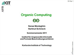 Vorlesung "Organic Computing" der Fakultät für Wirtschaftswissenschaften im Sommersemester 2011, gehalten am 11.04.2011