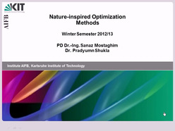 Nature-Inspired Optimization Methods, WS 2012/2013, gehalten am 15.10.2012