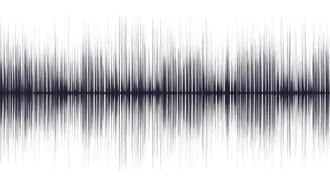 Die digitale Hand am Puls - Rekord-EKG aufgezeichnet - Beitrag bei Radio KIT am 09.01.2014