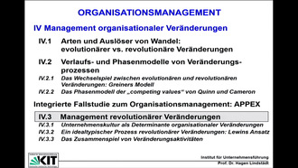 IV Management organisationaler Veränderungen, IV.3 Management revolutionärer Veränderungen