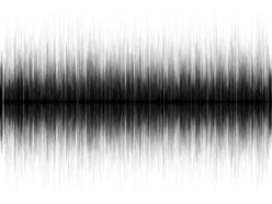 Digitales Herz – wie virtuelle Modelle die Medizin verändern