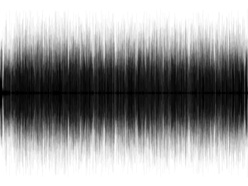 KI in der Herzmedizin – was Algorithmen im Rhythmus erkennen